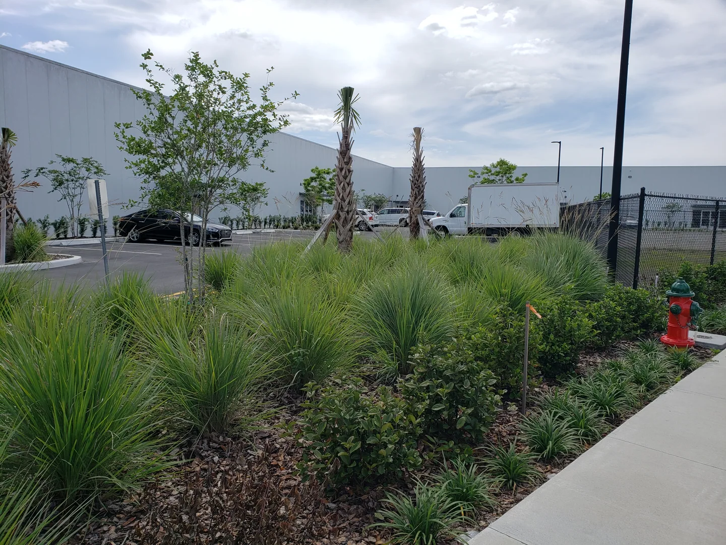 Landscaped approach to Vista Business Center